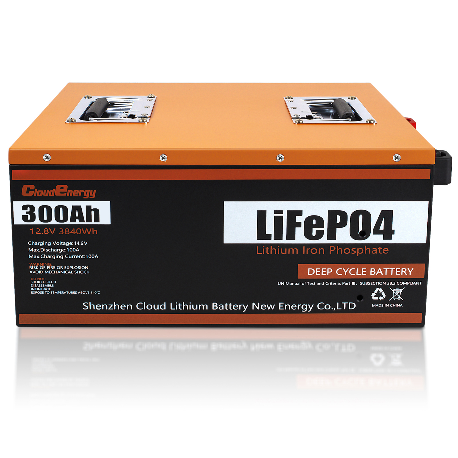 LiFePO4 Battery Pack